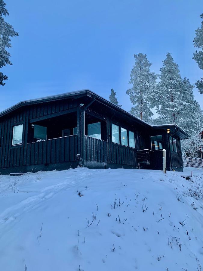 1125 Fjaellstugan Lofsdalen Exterior photo