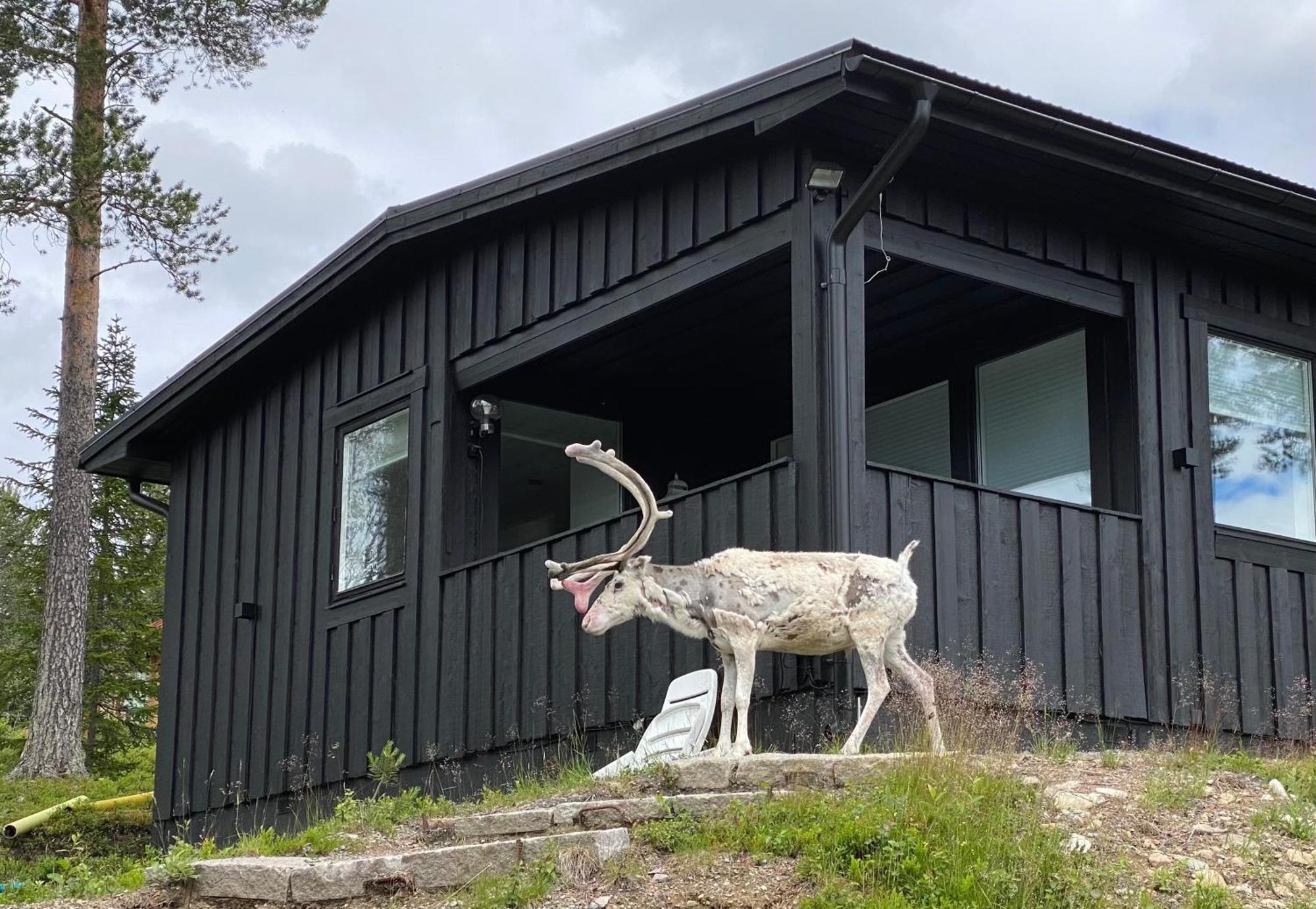 1125 Fjaellstugan Lofsdalen Exterior photo